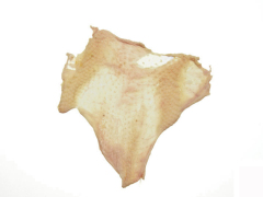 鸡皮 　chicken skin