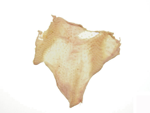 鸡皮 　chicken skin