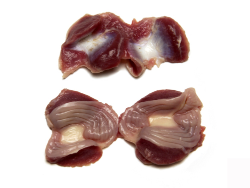 鸡胗 gizzard