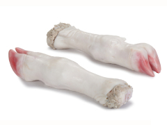 牛前蹄 front feet