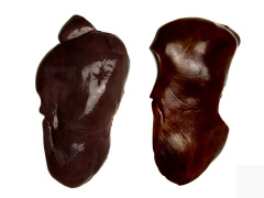 牛肝 liver