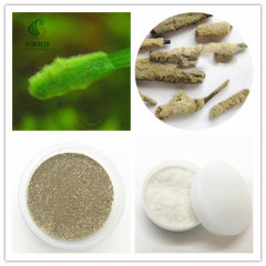 Cosmetic Lacustris Extract Hydrolyzed Spongilla Powder