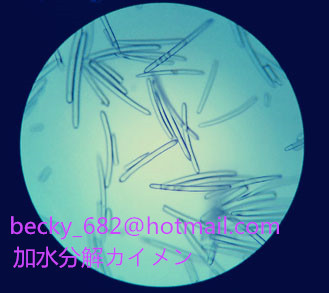 하이드롤라이즈드 해면(스폰지)