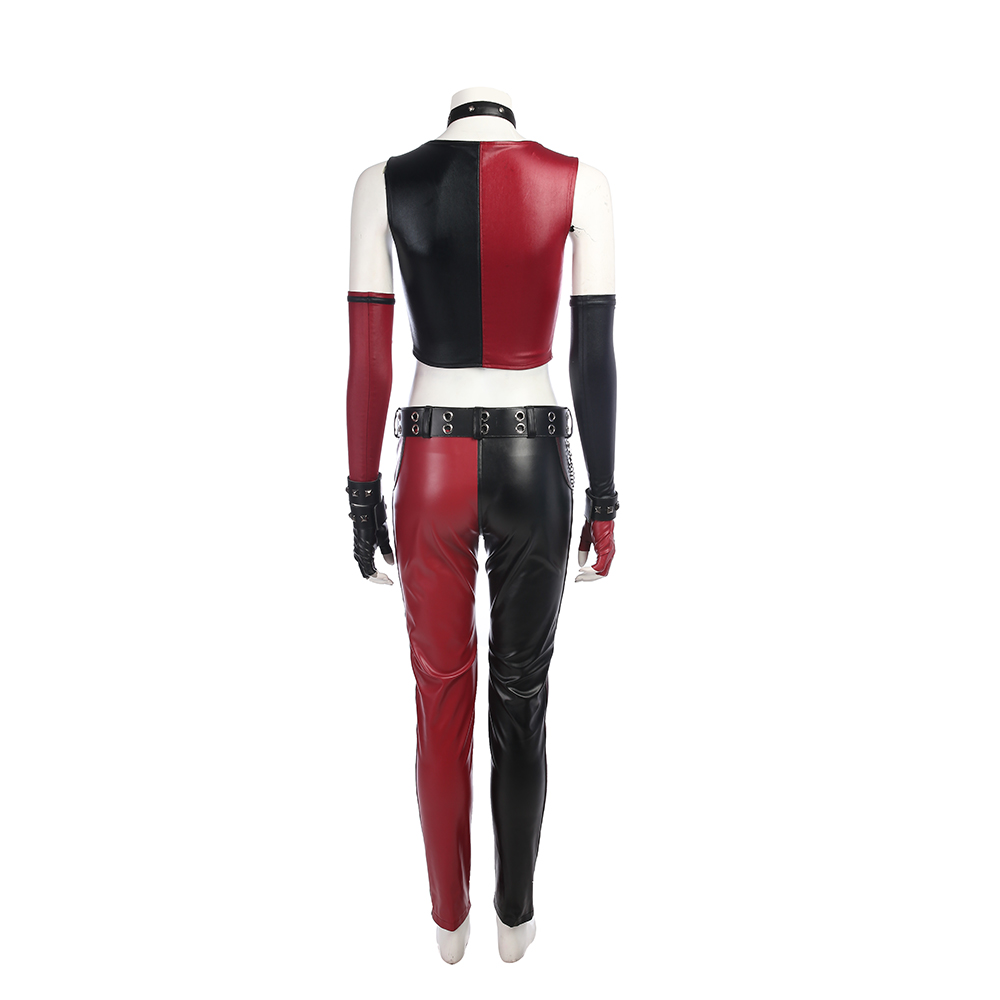 Batman: Arkham City Harley Quinn Cosplay Costume