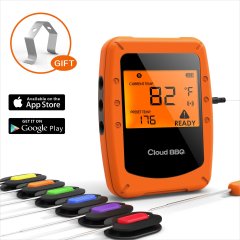 BLUETOOTH THERMOMETER