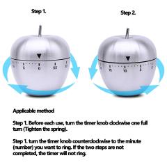 APPLE TIMER