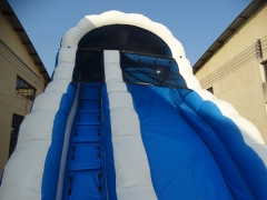 19FT Curve Blue White