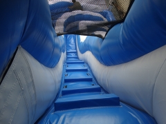 19FT Curve Blue White