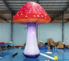 Inflatable Mushroom