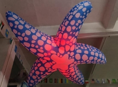 Inflatable Starfish