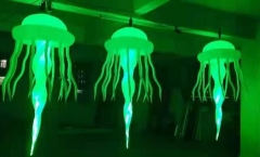 Inflatable Jellyfish