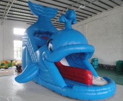 Blue Whale Inflatable Slide