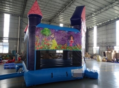 Princess Bouncy Castles