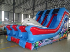 Inflatable Dolphin Slide