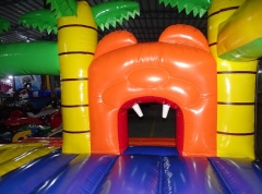 Lion Bounce House Castle with Slide