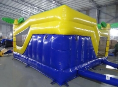 Lion Bounce House Castle with Slide