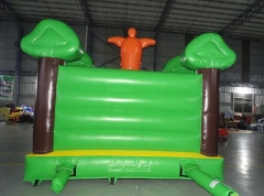 4x4m Bounce House for Sale