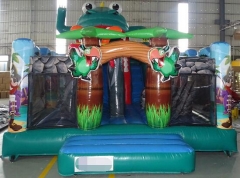 Pirate Inflatable Playground