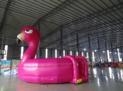 Flamingo Bounce House