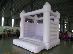 Lilac Purple Bouncy Castles Party