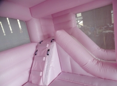 Pink Bouncy Castle