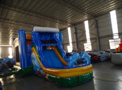 Dolphin Bounce House with Slide