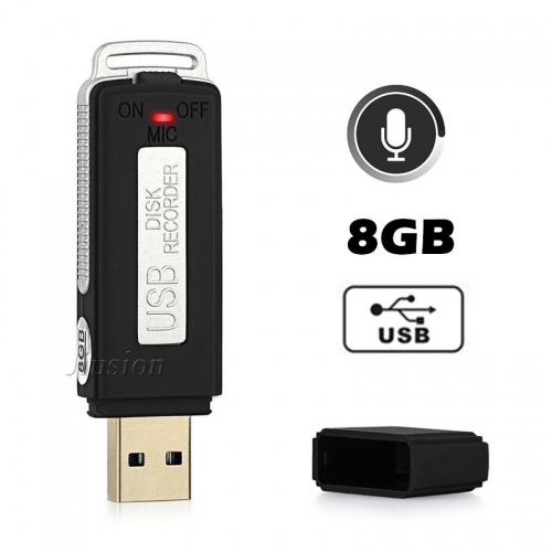 8GB Memory Digital Voice Recorder Audio Sound Recording Pen U Disk size Builit-in Battery Super Mini Micro Espia dictaphone