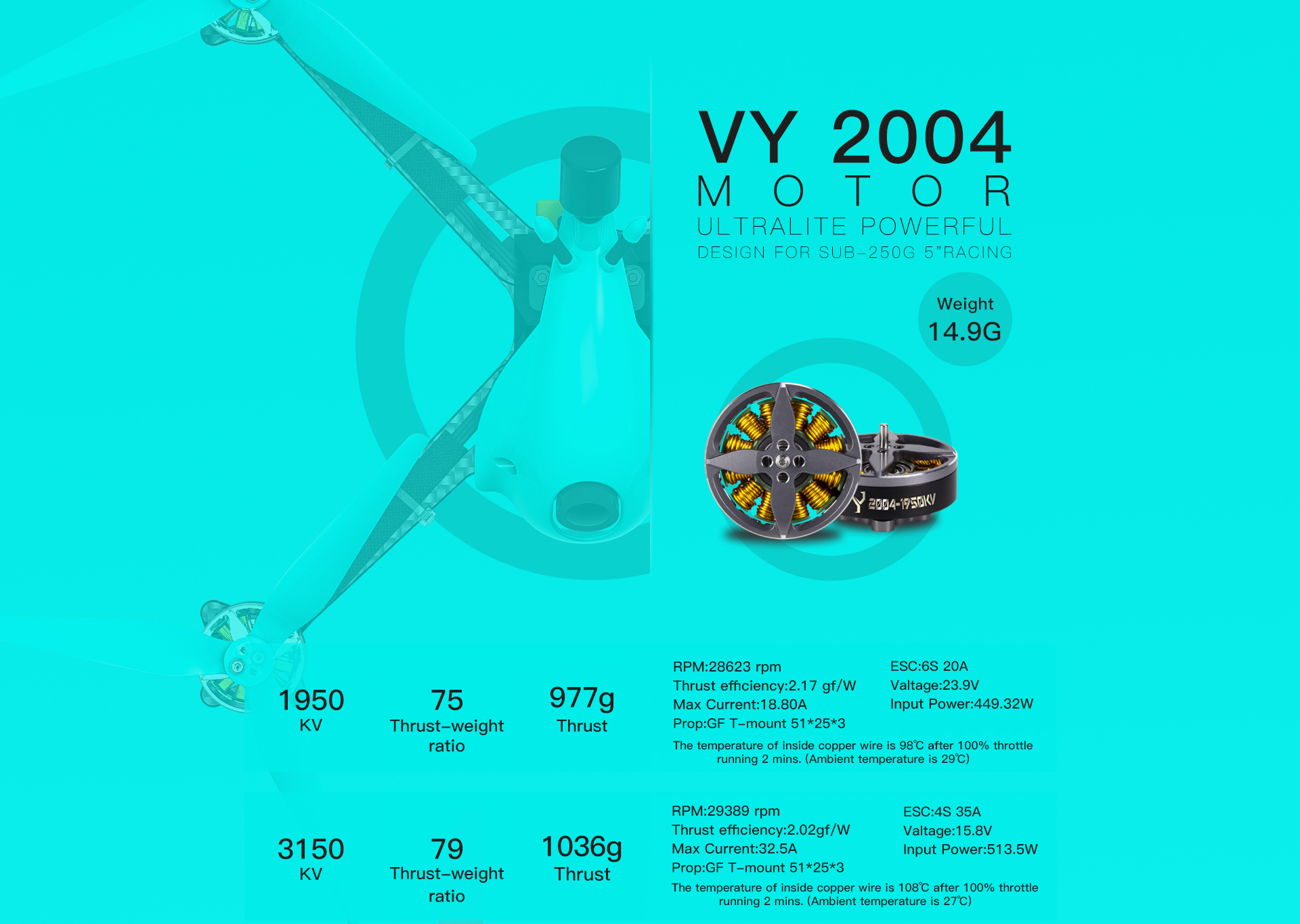 VY 2004 Motor