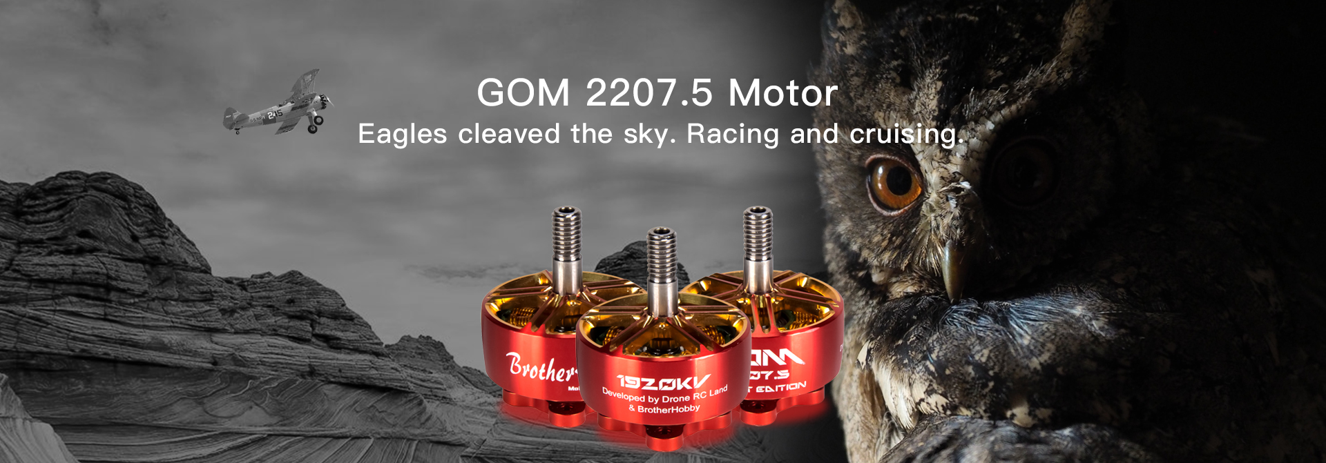GOM 2207.5 Motor (CW)