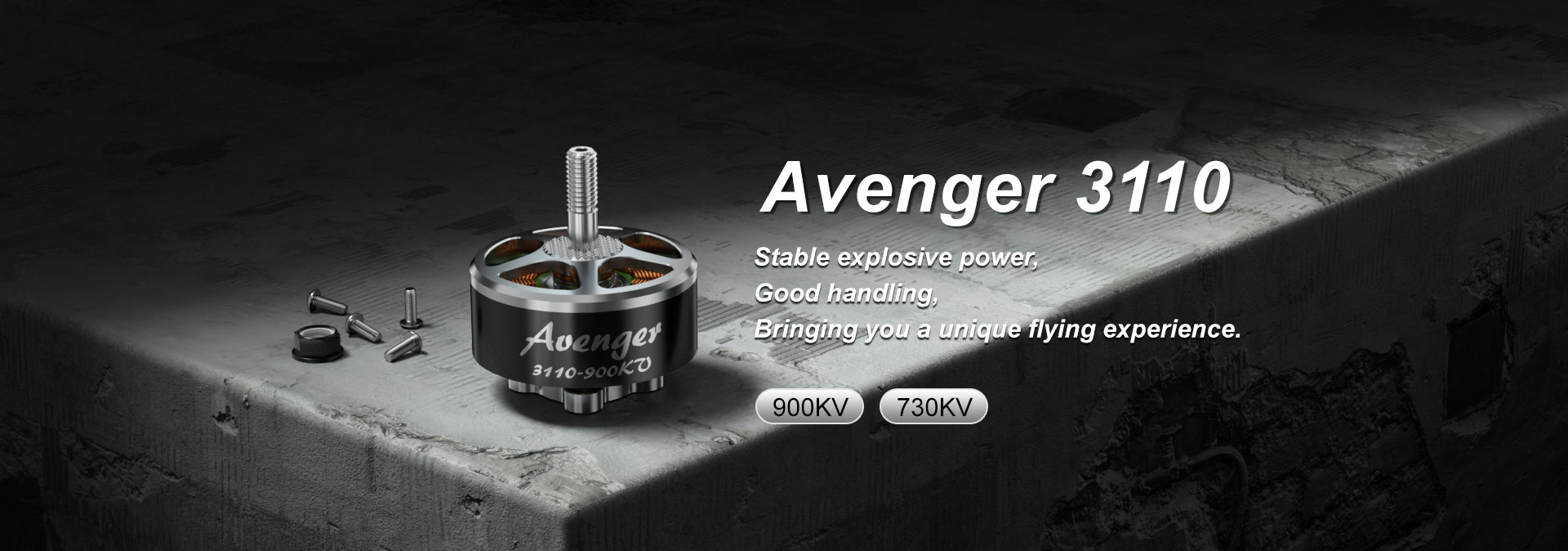 Avenger 3110 730KV/900KV Motor