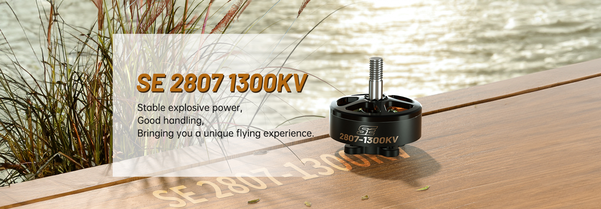 SE 2807 1300KV Motor(CW)