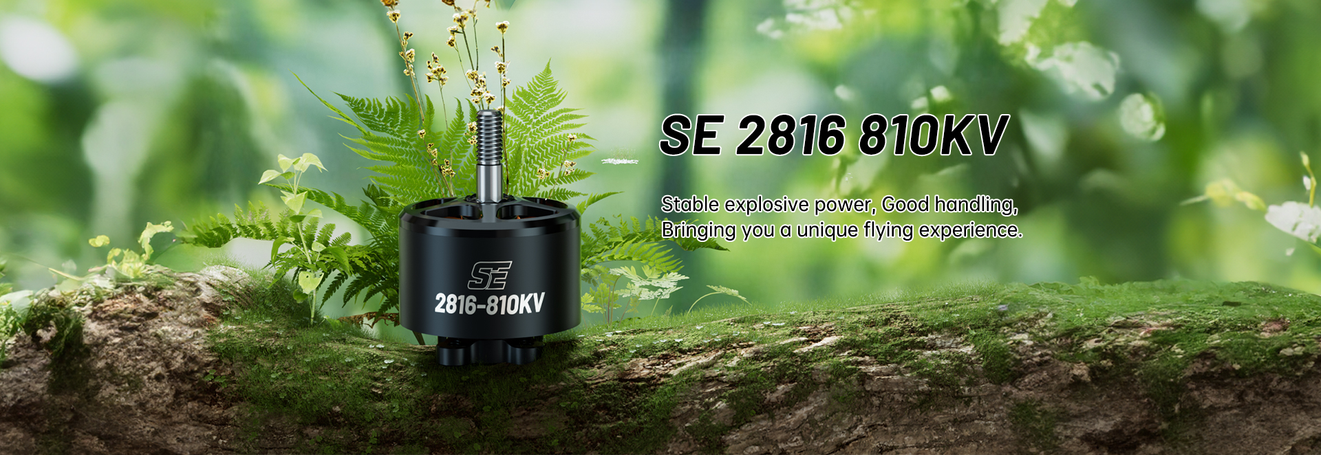 SE 2816 810KV Motor(CW)