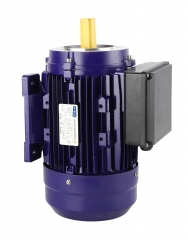 ML Single Phase Motor