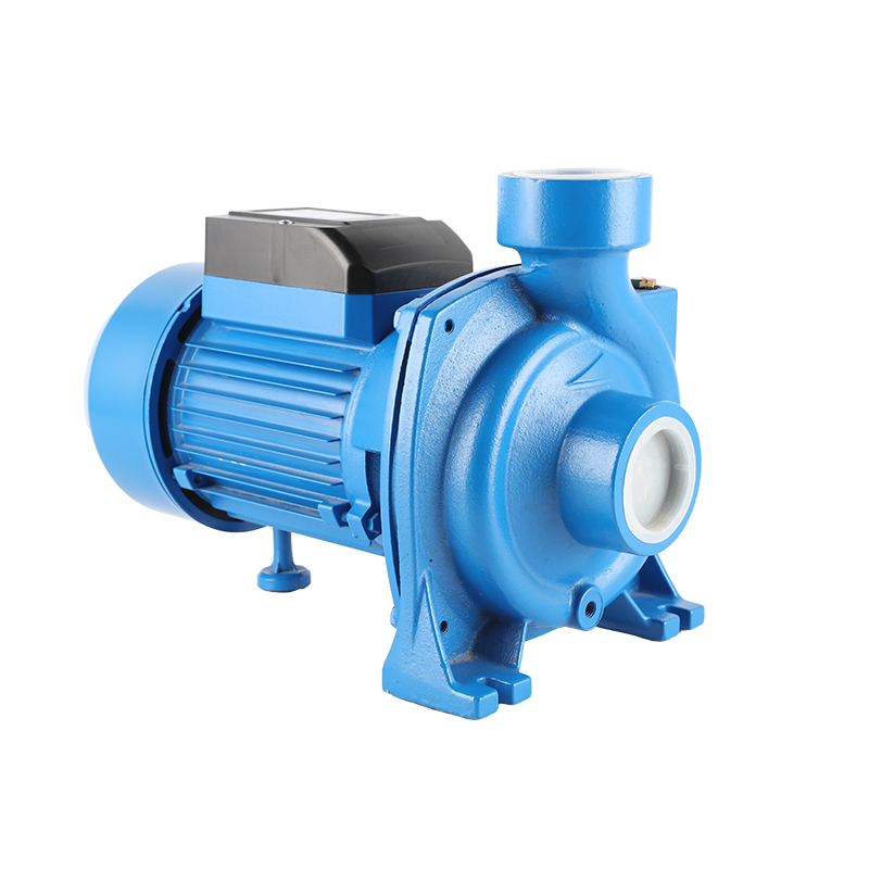 Big Flow Brass Impeller Cast Iron Centrifugal Pump – Powerful and Efficient for Farming and Irrigation