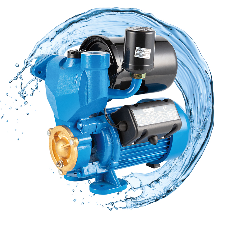 Elestar Domestic WZB Series Electric Pumps