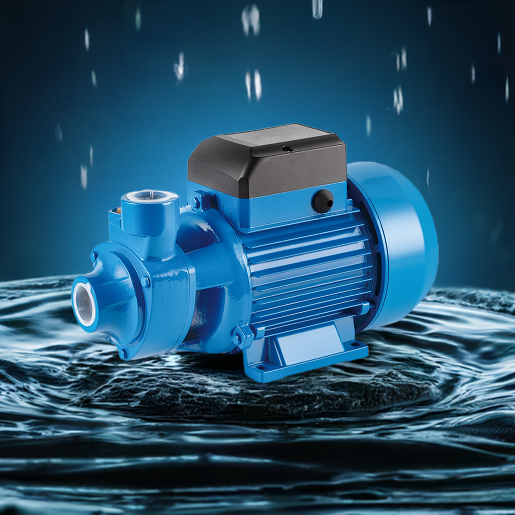 QB60 Electric Water Pump