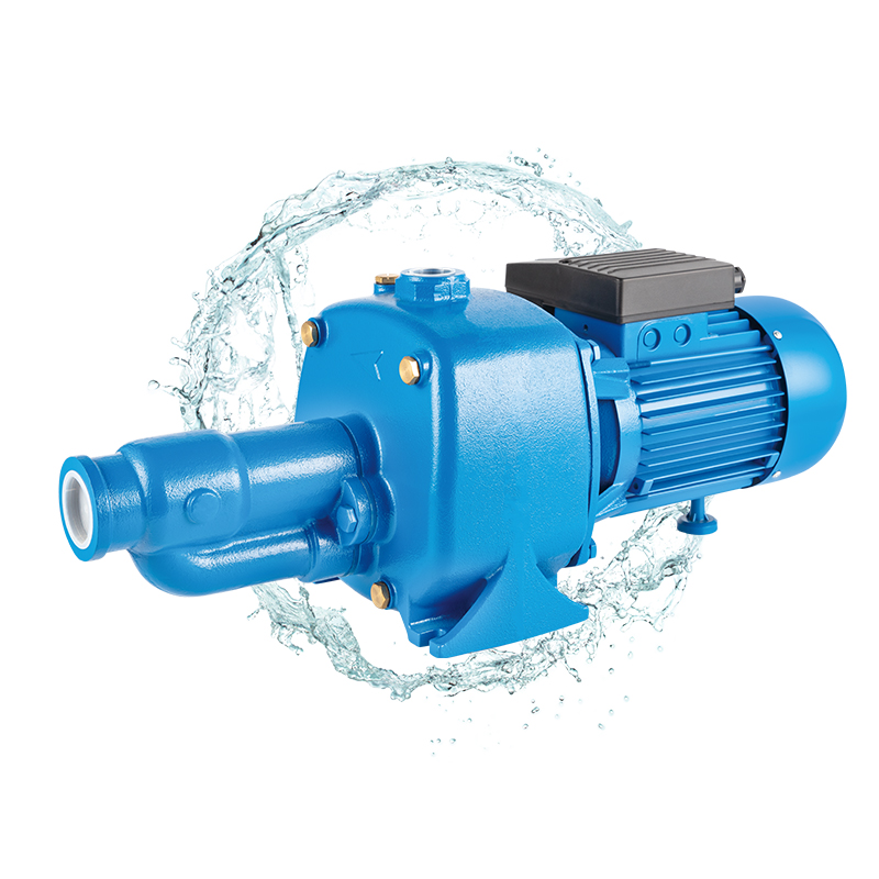 Shallow Well 550W/750W Cast Iron Jet High Pressure Self-Priming Pump