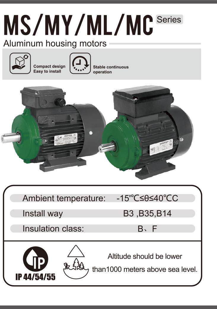 Efficiency and Reliability with ELESTAR MS Series Single Phase Motors ⚡