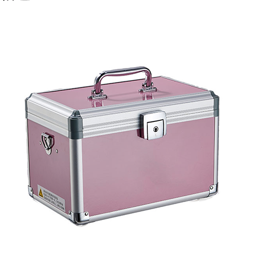 Pink aluminum cosmetic train box with removable tray for makeup artist