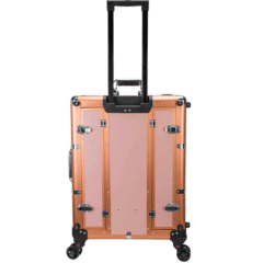 Rolling makeup beauty case with light trolley cosmetic case LED bulbs