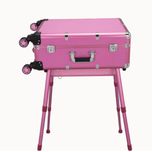 Pink trolley makeup case with light cosmetic rolling case with 4 legs