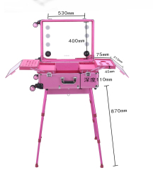 Pink trolley makeup case with light cosmetic rolling case with 4 legs