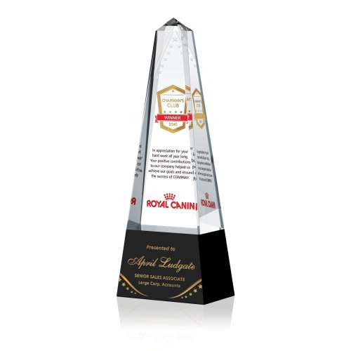 Chairman's Award Plaque