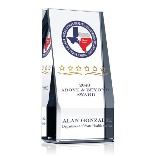 Above and Beyond Award Plaque