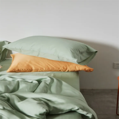 Fashion 100% Bamboo Sheet Set