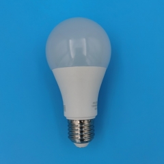 Led bulbs A65 12W