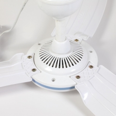 Electric Ceiling Fan Item no: WS-EF-GT3CFL 700-900-1050