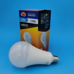 Led Bulbs A90 20W