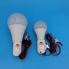 DC12V A70 LED Bulb with Milky White Cover