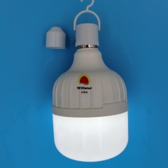 Emergency led bulb, T100 11W